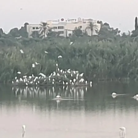 όμορφο καινούργιο σε μικρή πολυκατοικία Voroklini