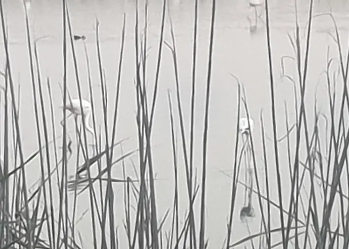 Appartement όμορφο καινούργιο σε μικρή πολυκατοικία