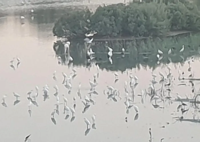 όμορφο καινούργιο σε μικρή πολυκατοικία Apartamento