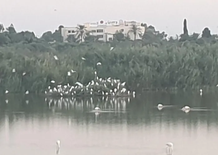 όμορφο καινούργιο σε μικρή πολυκατοικία Voroklini